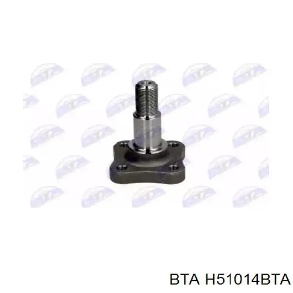 Czop - zwrotnica tylna BTA H51014BTA cena, od 24,76 USD