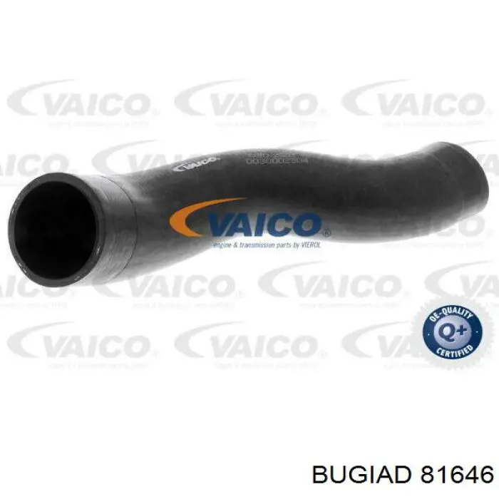 81646 Bugiad Przewód (króciec) intercoolera
