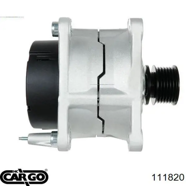 111820 Cargo alternator