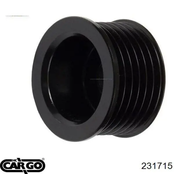 9118145 General Motors Koło pasowe alternatora