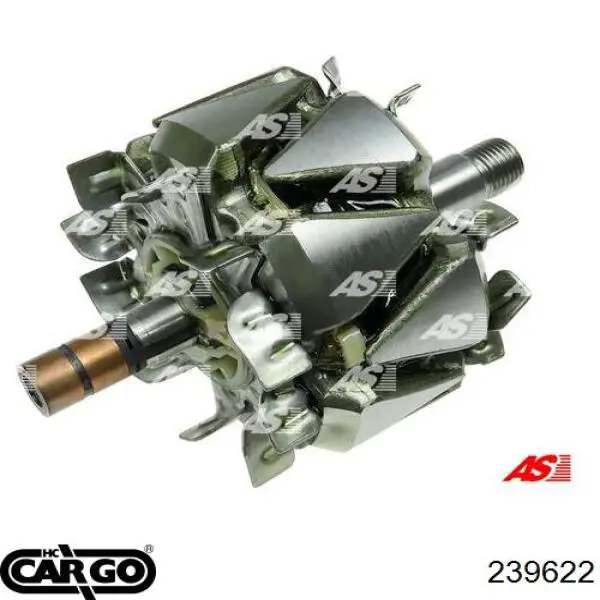 Wirnik alternatora Renault Vel Satis (BJ0)