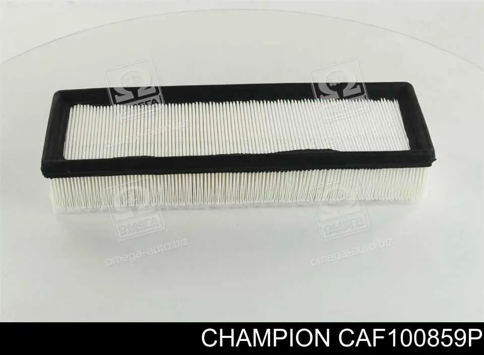 Filtr powietrza Champion CAF100859P cena, od 9,12 USD