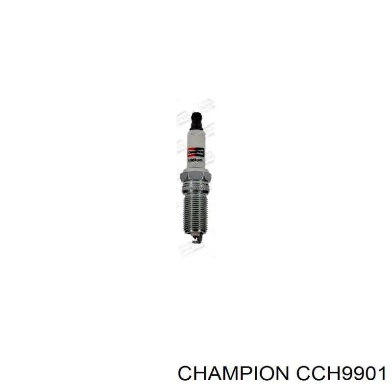 Świeca zapłonowa CCH9901 Champion