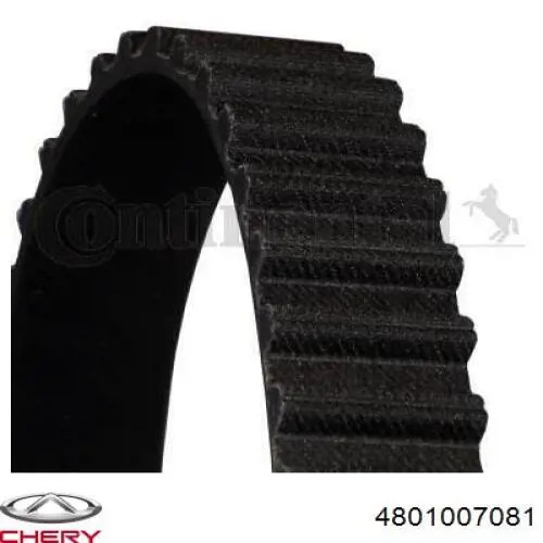 Pasek rozrządu 4801007081 Chery
