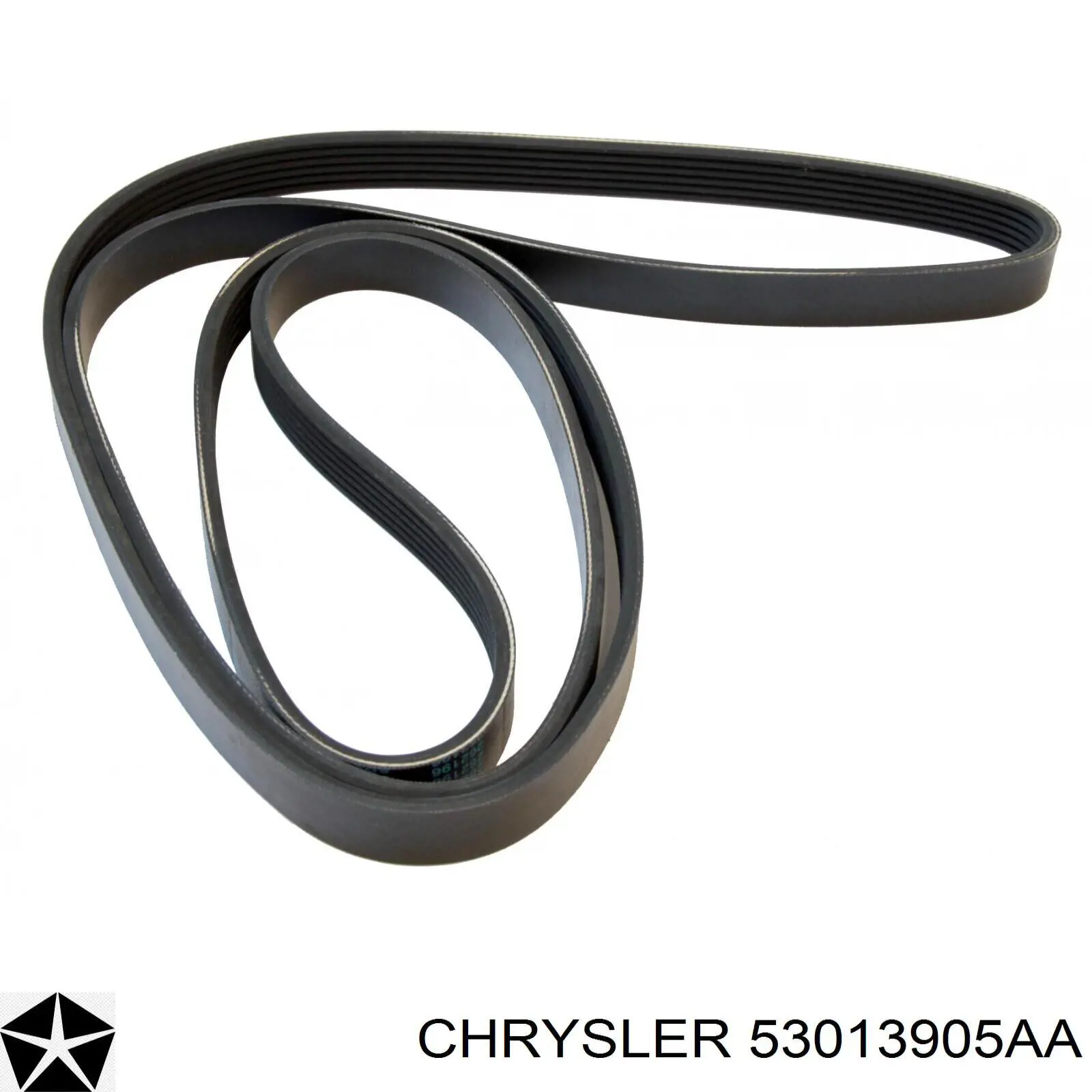 Do koszyka 53013905AA Chrysler Pas napędowy mechanizmów