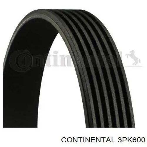  Continental/Siemens 3PK600