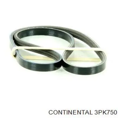 Do koszyka 3PK750 Continental/Siemens Pas napędowy mechanizmów