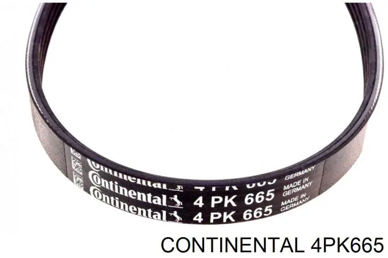 Do koszyka 4PK665 Continental/Siemens Pas napędowy mechanizmów