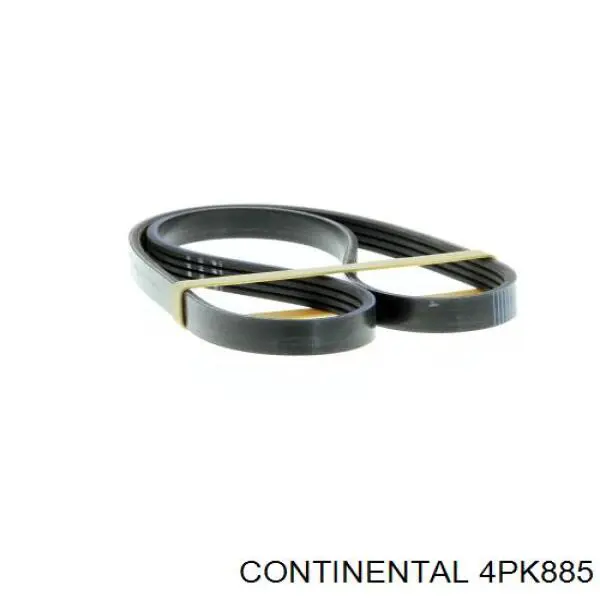 Do koszyka 4PK885 Continental/Siemens Pas napędowy mechanizmów