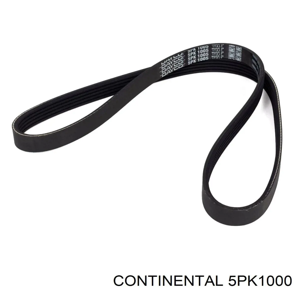  Continental/Siemens 5PK1000