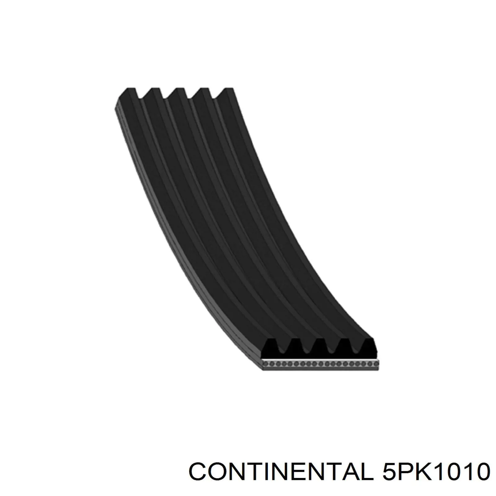 Do koszyka 5PK1010 Continental/Siemens Pas napędowy mechanizmów