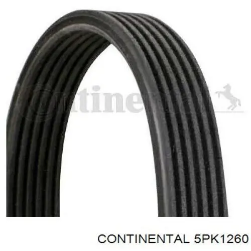 Pas napędowy mechanizmów Continental/Siemens 5PK1260 cena, od 17,06 USD