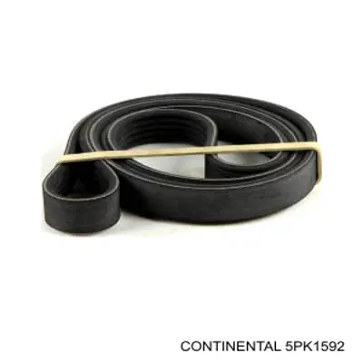 5PK1592 Continental/Siemens Pas napędowy mechanizmów