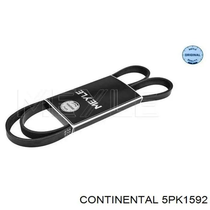 Do koszyka 5PK1592 Continental/Siemens Pas napędowy mechanizmów