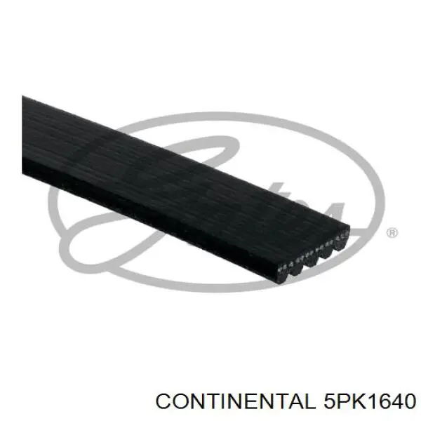 Pas napędowy mechanizmów Continental/Siemens 5PK1640 cena, od 15,73 USD