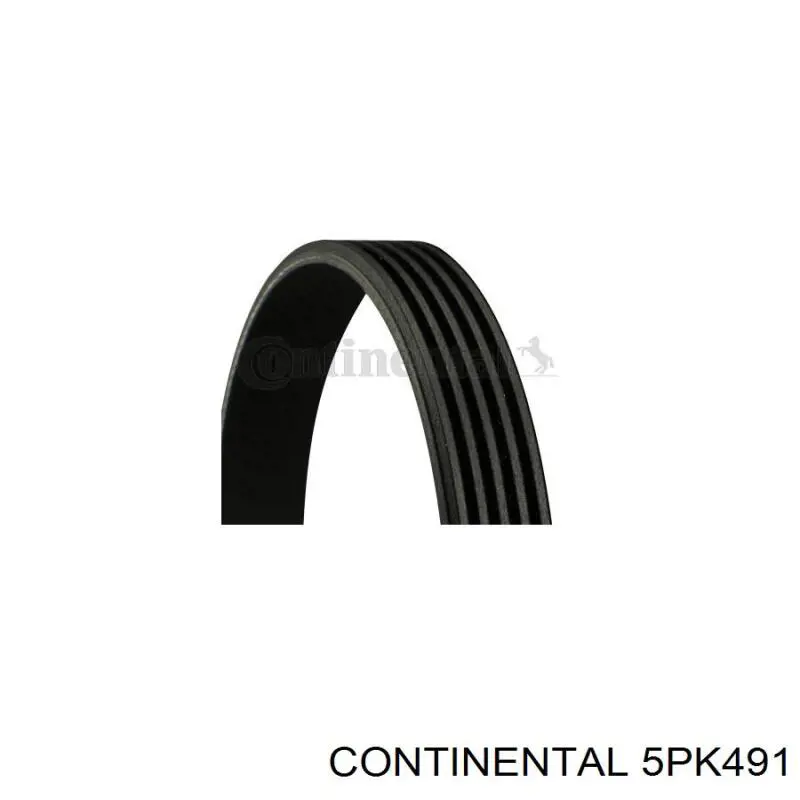 Pas napędowy mechanizmów Continental/Siemens 5PK491 cena, od 13,25 USD