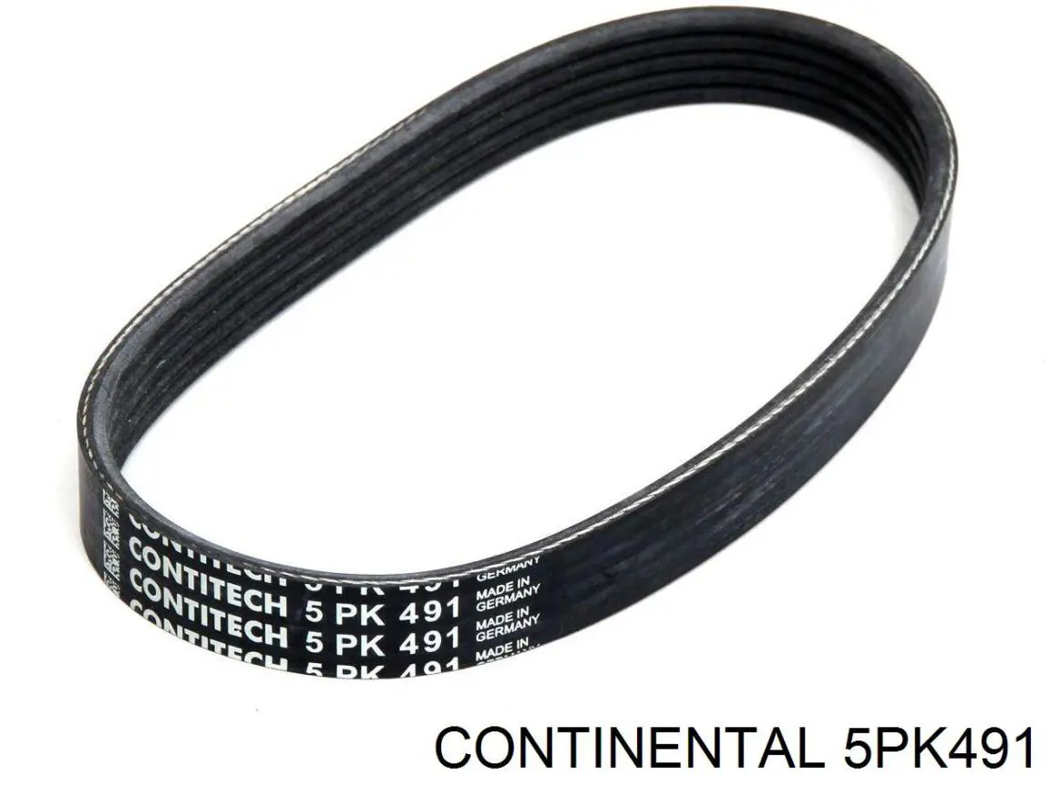 Do koszyka 5PK491 Continental/Siemens Pas napędowy mechanizmów