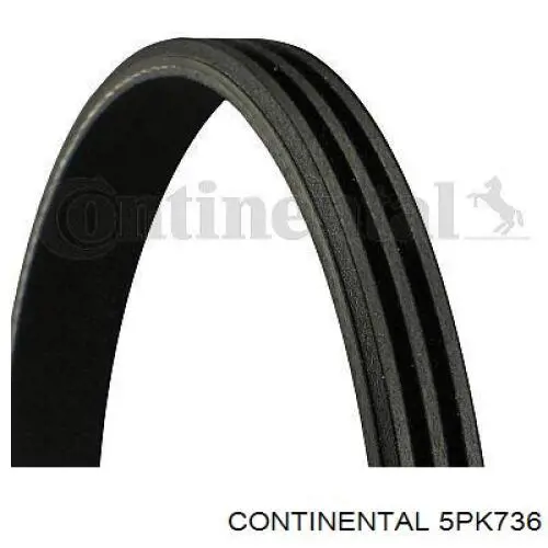 Do koszyka 5PK736 Continental/Siemens Pas napędowy mechanizmów