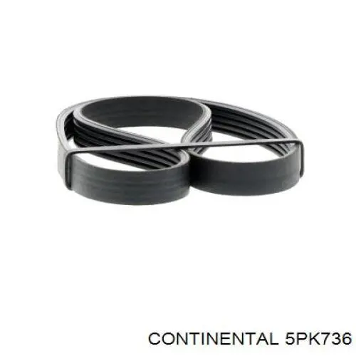 Pas napędowy mechanizmów Continental/Siemens 5PK736 cena, od 10,50 USD