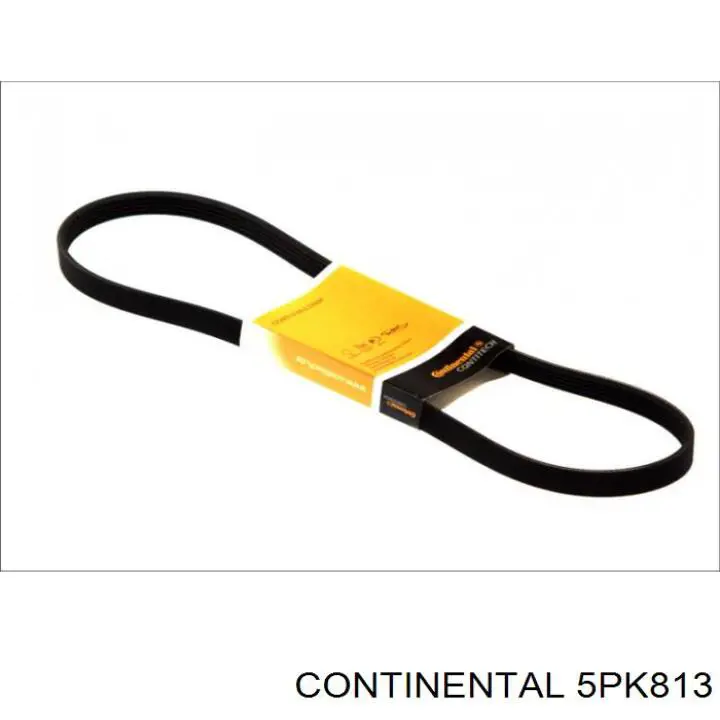 Do koszyka 5PK813 Continental/Siemens Pas napędowy mechanizmów