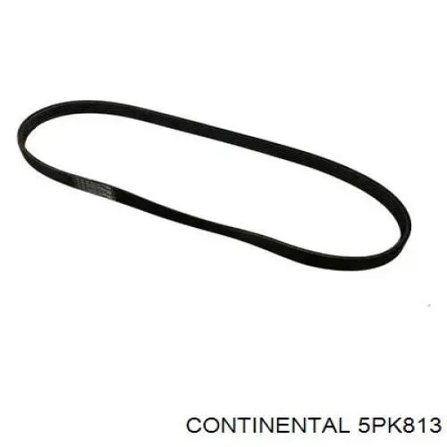 Pas napędowy mechanizmów Continental/Siemens 5PK813 cena, od 10,61 USD