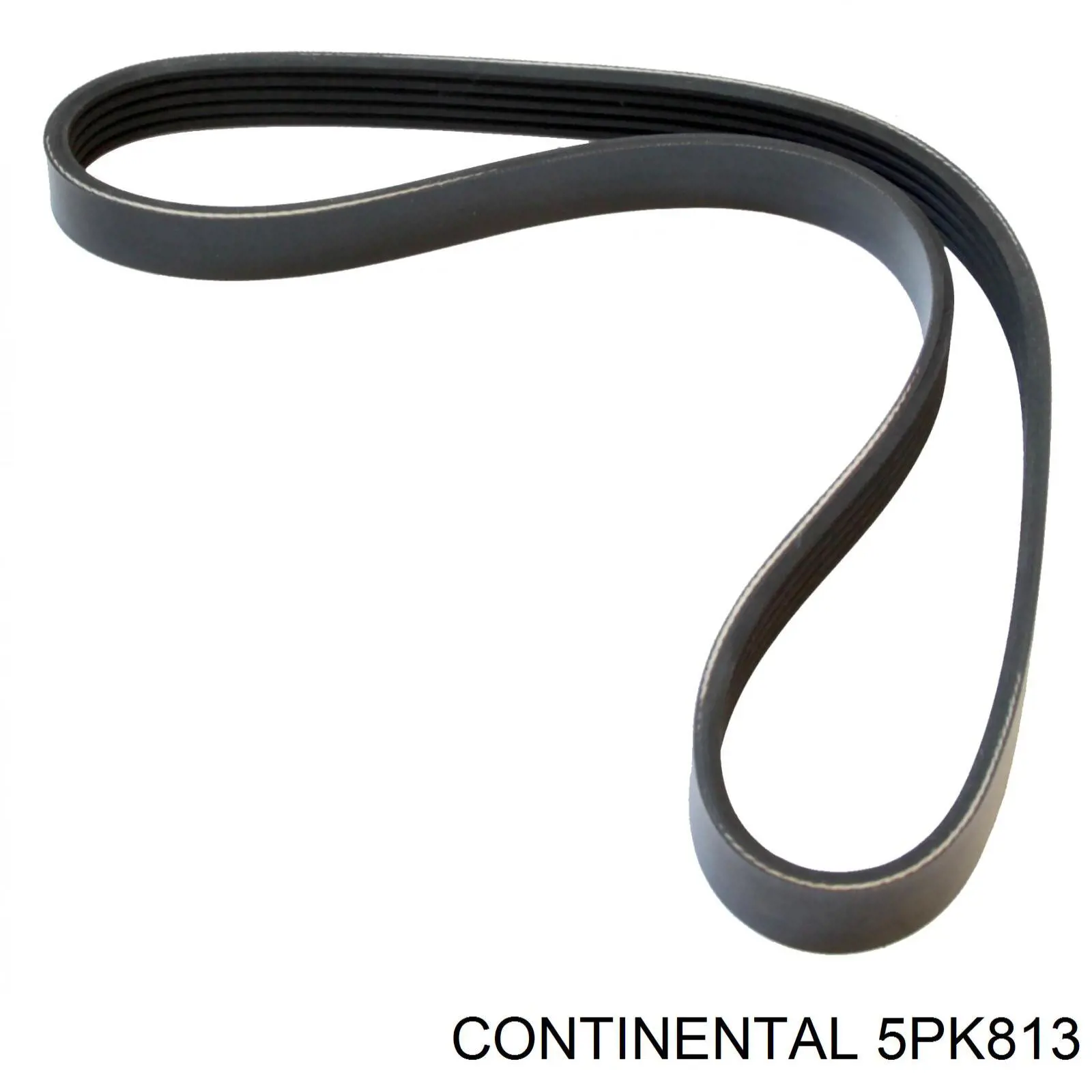 Pas napędowy mechanizmów Continental/Siemens 5PK813 cena, od 10,61 USD