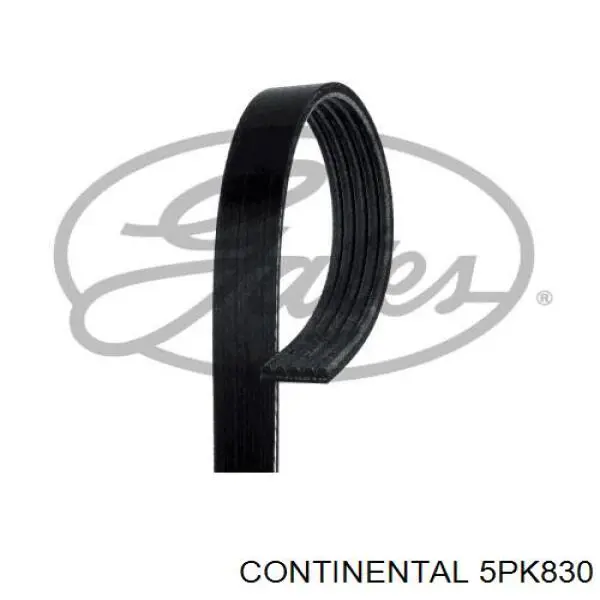 Do koszyka 5PK830 Continental/Siemens Pas napędowy mechanizmów