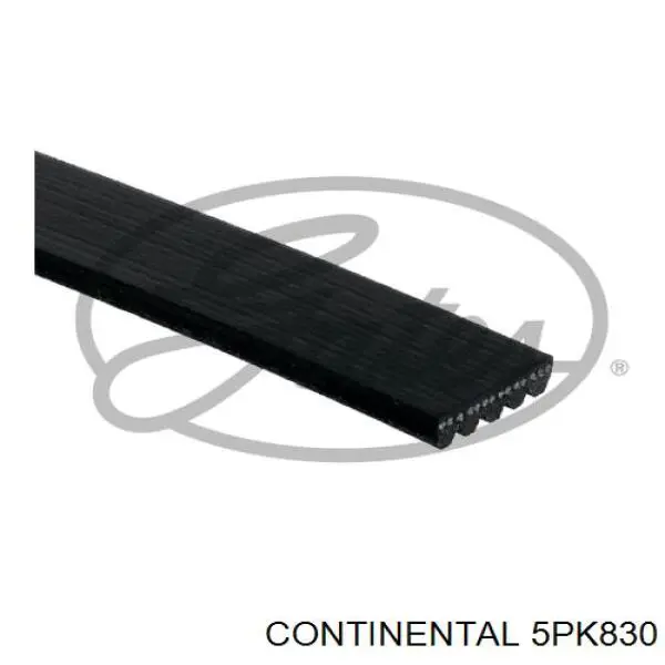 Pas napędowy mechanizmów Continental/Siemens 5PK830 cena, od 13,11 USD