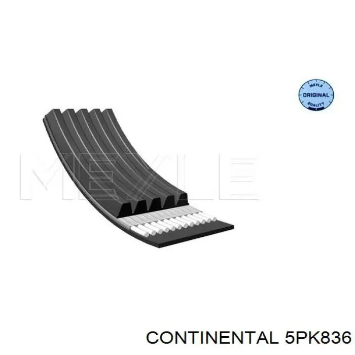 5PK836 Continental/Siemens pas napędowy mechanizmów