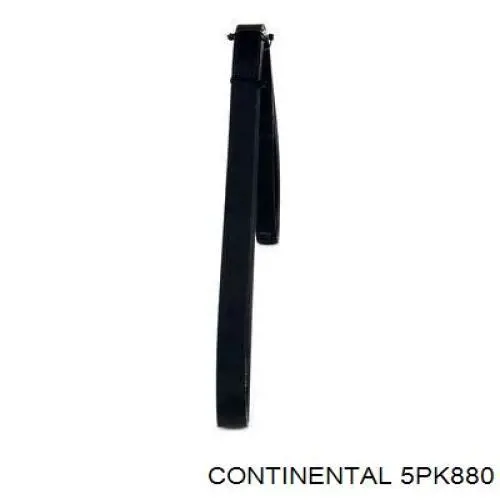 Pas napędowy mechanizmów Continental/Siemens 5PK880 cena, od 11,52 USD