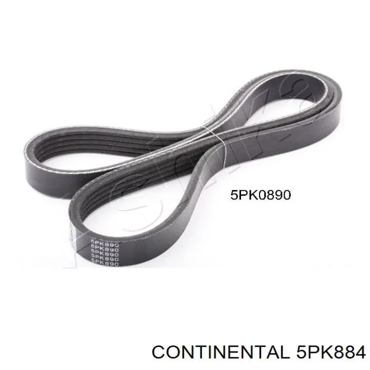 Do koszyka 5PK884 Continental/Siemens Pas napędowy mechanizmów