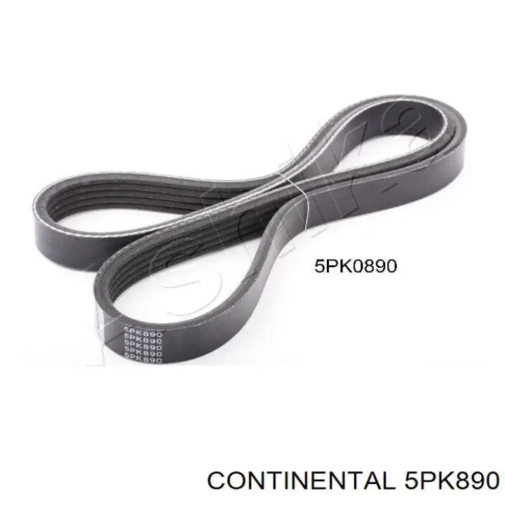 Do koszyka 5PK890 Continental/Siemens Pas napędowy mechanizmów