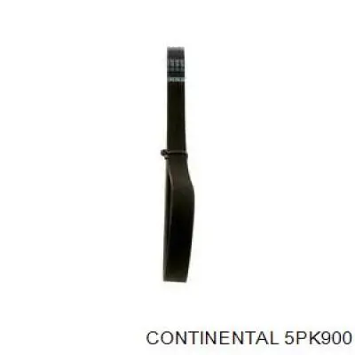 Do koszyka 5PK900 Continental/Siemens Pas napędowy mechanizmów