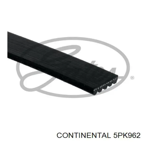 Pas napędowy mechanizmów Continental/Siemens 5PK962 cena, od 11,30 USD