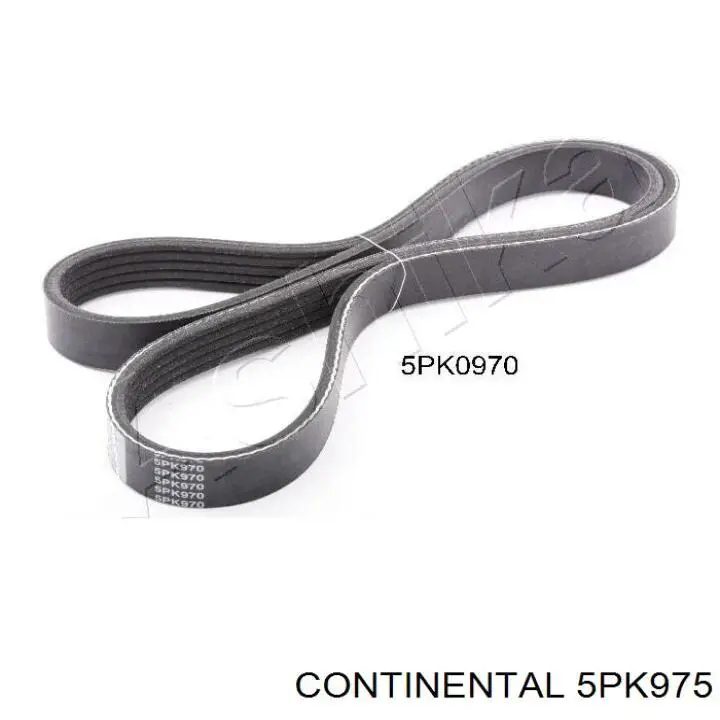 Pas napędowy mechanizmów Continental/Siemens 5PK975 cena, od 12,02 USD