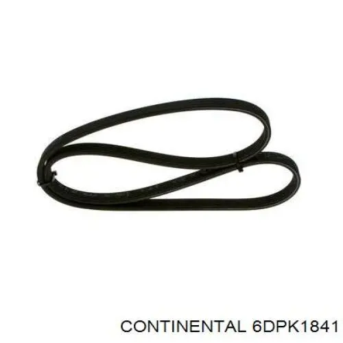  Continental/Siemens 6DPK1841