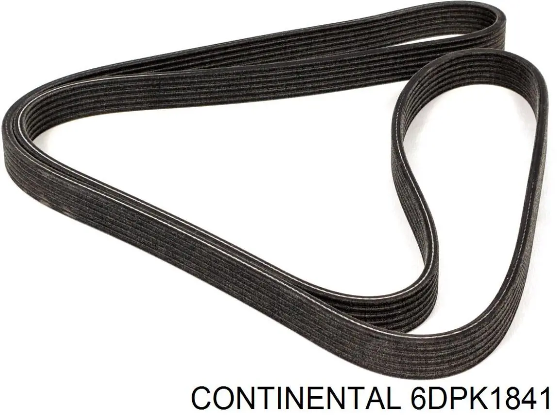 Do koszyka 6DPK1841 Continental/Siemens Pas napędowy mechanizmów