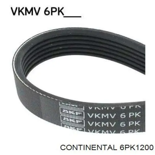Pas napędowy mechanizmów Continental/Siemens 6PK1200 cena, od 14,92 USD