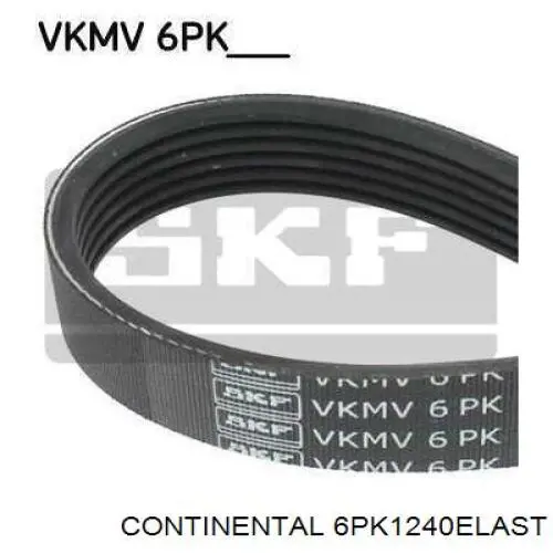  Continental/Siemens 6PK1240ELAST