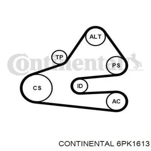 Pas napędowy mechanizmów Continental/Siemens 6PK1613 cena, od 17,24 USD