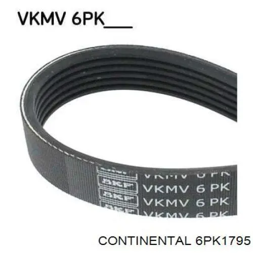 Pas napędowy mechanizmów Continental/Siemens 6PK1795 cena, od 18,81 USD