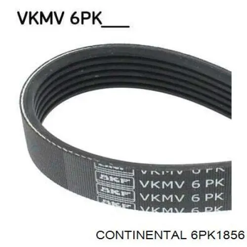Pas napędowy mechanizmów Continental/Siemens 6PK1856 cena, od 21,06 USD