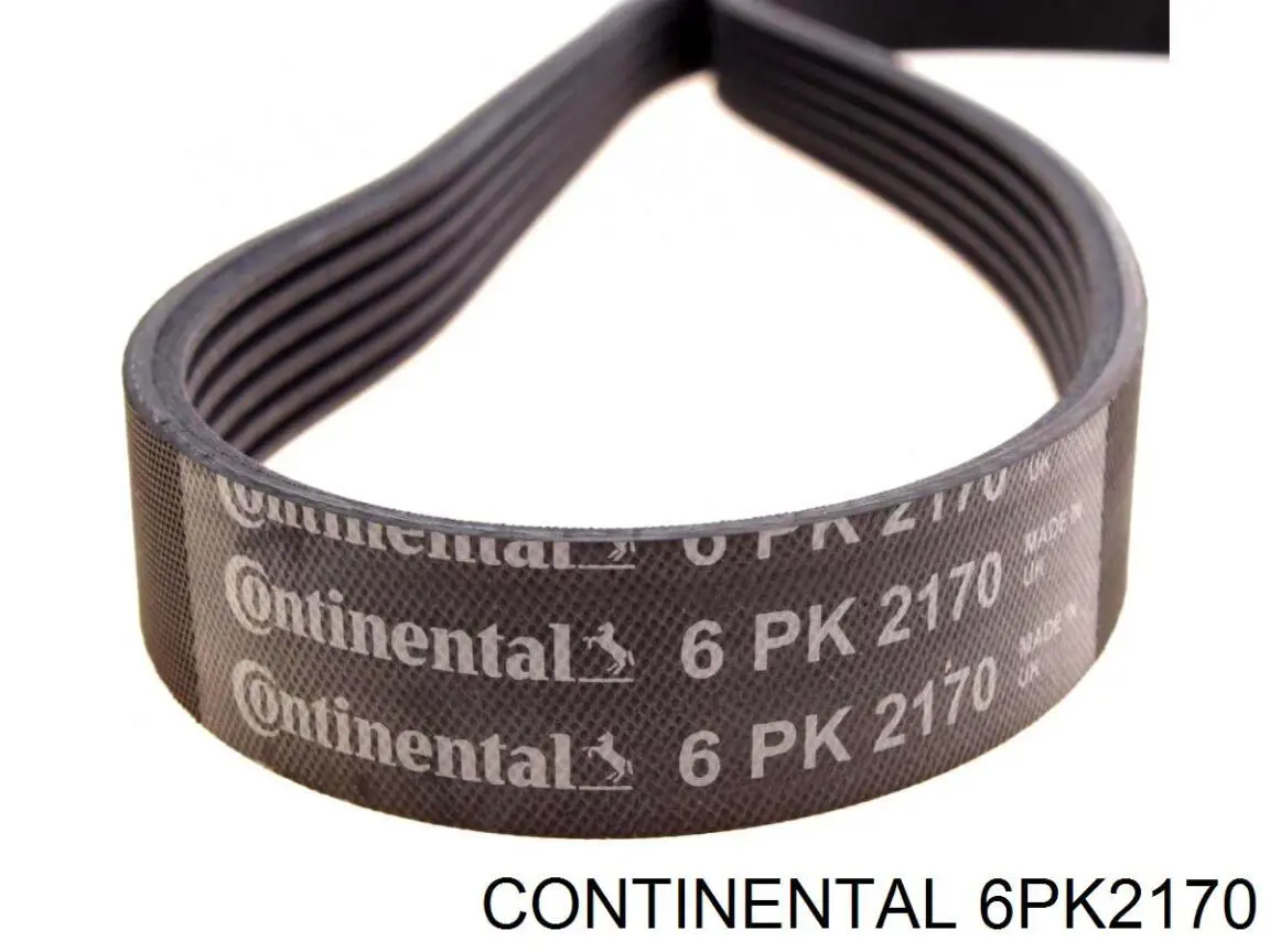 Pas napędowy mechanizmów Continental/Siemens 6PK2170 cena, od 24,07 USD