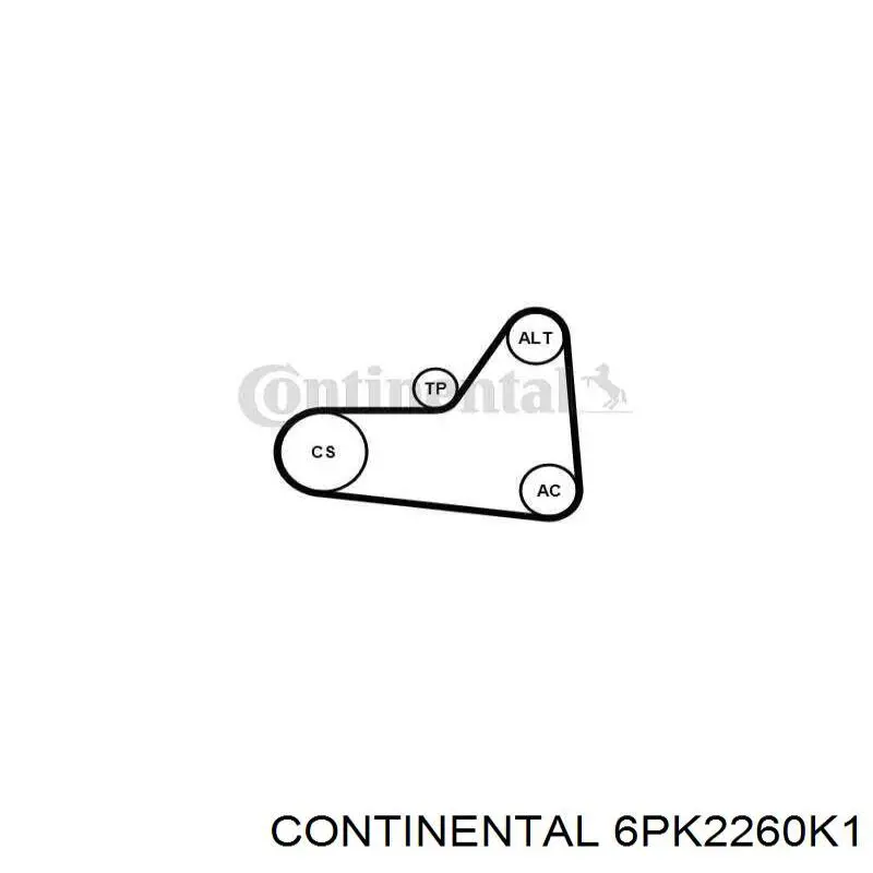 Do koszyka 6PK2260K1 Continental/Siemens Pasek napędowy mechanizmów, zestaw
