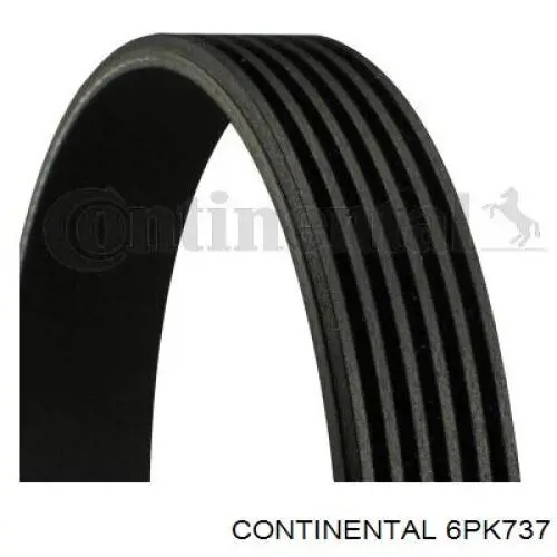 Pas napędowy mechanizmów Continental/Siemens 6PK737 cena, od 9,94 USD