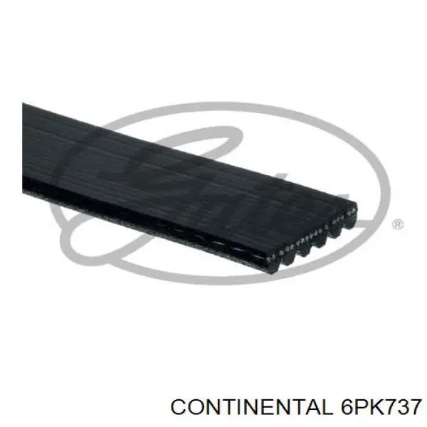 Do koszyka 6PK737 Continental/Siemens Pas napędowy mechanizmów