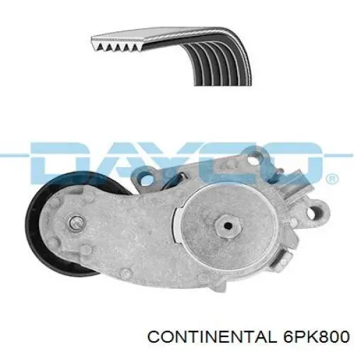 Do koszyka 6PK800 Continental/Siemens Pas napędowy mechanizmów