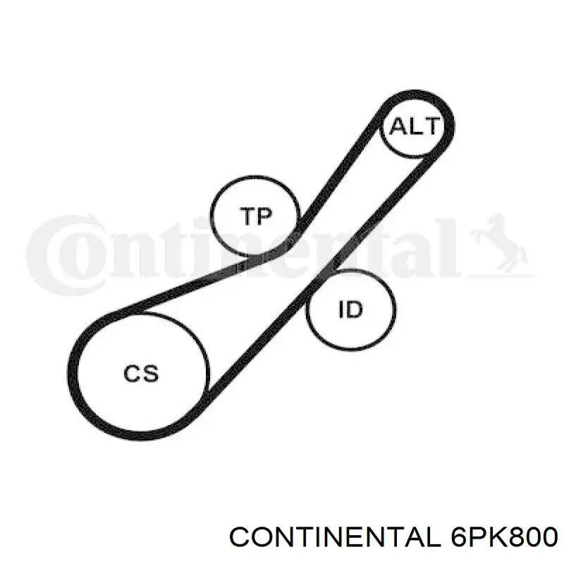 6PK800 Continental/Siemens Pas napędowy mechanizmów
