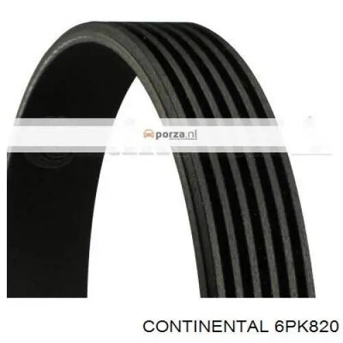 Pas napędowy mechanizmów Continental/Siemens 6PK820 cena, od 14,12 USD