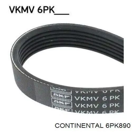 Pas napędowy mechanizmów Continental/Siemens 6PK890 cena, od 13,47 USD